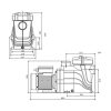 Čerpadlo StarFlo  1 HP - 3 Phase, 20 m3/hr